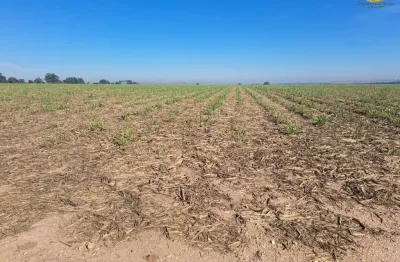 Chácara / sítio à venda em Artemis, Piracicaba 