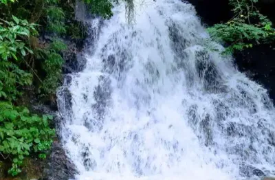Chácara / sítio à venda na Zona Rural, São Pedro 