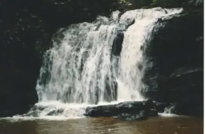 Fazenda à venda na Área Rural, Área Rural de Itapira, Itapira