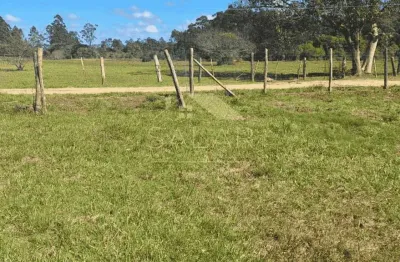 Terreno à venda na Rodovia ERS-040, s n, Morro Grande, Viamão por R$ 69.000