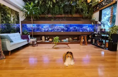 Casa com 4 quartos à venda na Vila Ipojuca, São Paulo 