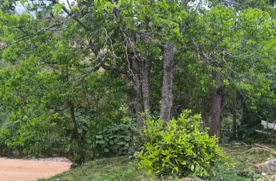 Ótimo terreno para construir ou investir em localização privilegiada