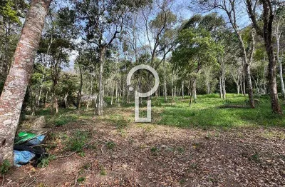 Terreno à venda em Itaipava, Petrópolis 