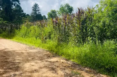 Excelente área à venda na colônia Murici São José dos pinhais