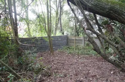 Terreno à venda, 1005 m² por r$ 1.800.000,00 - mercês - curitiba/pr