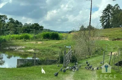 Sítio com 3 suítes à venda, 230000 m² por R$ 1.000.000 - Zona Rural - Guapiara/SP