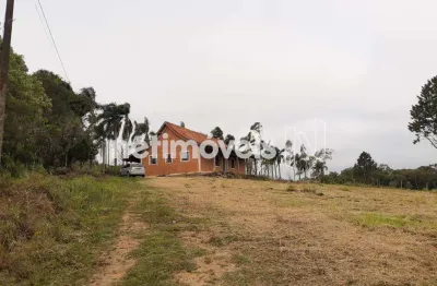 Chácara / sítio com 2 quartos à venda na Rua do Cedro, Chácara Rincão, Cotia