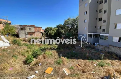 Terreno à venda no Paraíso, Belo Horizonte 