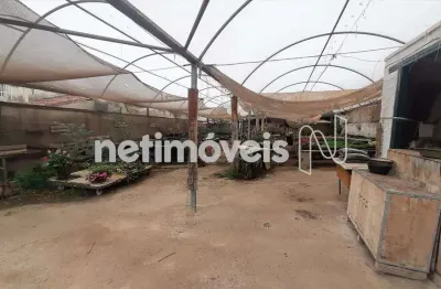 Terreno à venda no São José, Belo Horizonte 