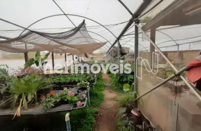 Terreno à venda no São José, Belo Horizonte 