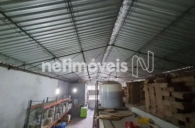 Barracão / Galpão / Depósito à venda na Avenida Presidente Antônio Carlos, Cachoeirinha, Belo Horizonte