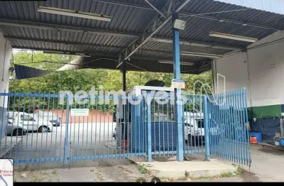 Terreno comercial para alugar no Jardim Vitória, Belo Horizonte 