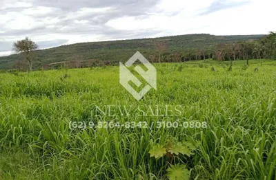 Fazenda à venda em pontal do araguaia-mt! 100 alqueires!