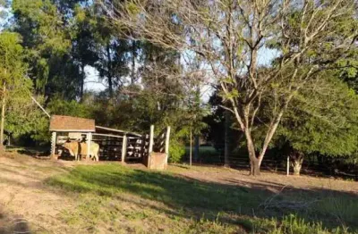 Fazenda à venda em Maristela, Alto Paraná 