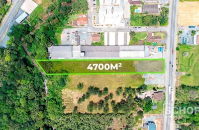 Terreno à venda, 4700 m² por r$ 4.700.000,00 - itoupava central - blumenau/sc