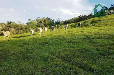 Sítio à venda, 421.021 m² por r$ 550.000 - rio do campo/sc
