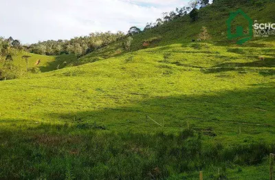 Chácara / sítio à venda na Floresta, Rio do Campo 