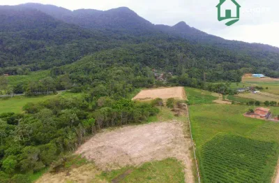 Terreno à venda, 21371 m² por r$ 3.500.000,00 - rio morto - indaial/sc