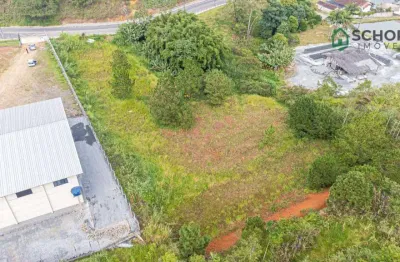 Terreno à venda, 5000 m² por r$ 1.650.000,00 - fortaleza alta - blumenau/sc