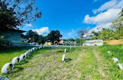 Terreno à venda, 4509 m² por r$ 4.000.000,00 - velha - blumenau/sc