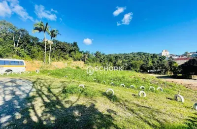 Terreno à venda, 4509 m² por r$ 4.000.000,00 - velha - blumenau/sc