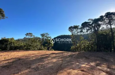 Sítio à venda, 20100 m² por r$ 199.000,00 - liberdade  - benedito novo/sc