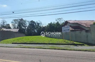 Terreno à venda, 1146 m² por r$ 680.000,00 - padre martinho stein - timbó/sc