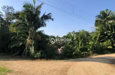 Terreno à venda, 3674 m² por r$ 650.000,00 - fidélis - blumenau/sc