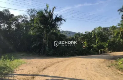 Terreno à venda, 3674 m² por r$ 650.000,00 - fidélis - blumenau/sc