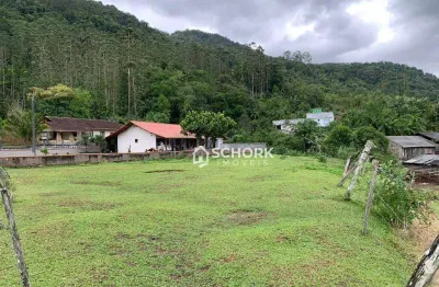 Terreno à venda, 1831 m² por r$ 120.000,00 - ribeirão das antas - benedito novo/sc
