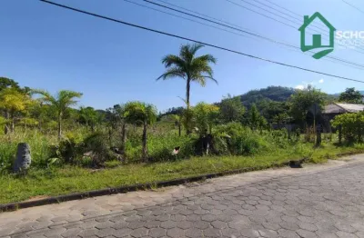 Terreno à venda, 594 m² por r$ 107.000,00 - são pedro velho - rodeio/sc