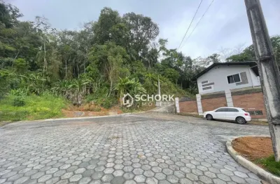 Terreno à venda, 58353 m² por r$ 80.000,00 - centro - benedito novo/sc
