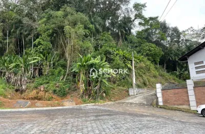Terreno à venda, 58353 m² por r$ 80.000,00 - centro - benedito novo/sc