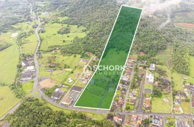 Terreno à venda, 76825 m² por r$ 10.000.000,00 - fidélis - blumenau/sc