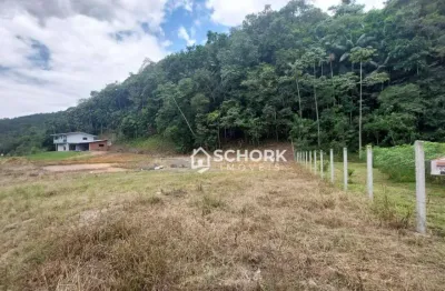 Terreno à venda, 35000 m² por r$ 170.000,00 - saxônia - ascurra/sc
