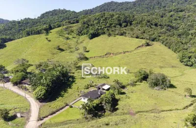 Sítio com 3 dormitórios à venda, 178156 m² por R$ 2.500.000,00 - Belchior Baixo - Gaspar/SC