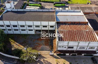 Galpão à venda, 3098 m² por r$ 11.000.000,00 - itoupava central - blumenau/sc