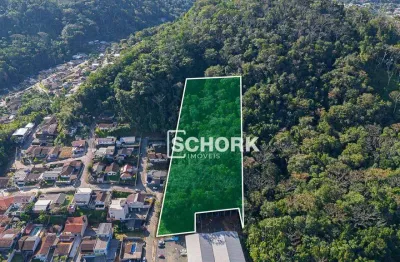Terreno à venda, 10921 m² por r$ 1.000.000,00 - badenfurt - blumenau/sc
