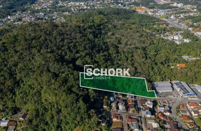 Terreno à venda, 10921 m² por r$ 1.000.000,00 - badenfurt - blumenau/sc