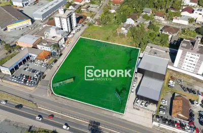 Terreno à venda, 5660 m² por r$ 4.200.000,00 - salto do norte - blumenau/sc