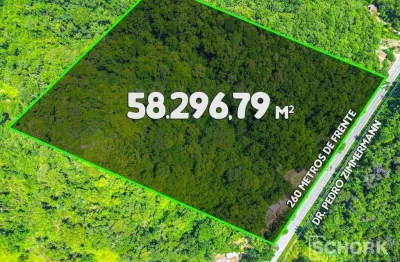 Terreno à venda, 58296 m² por R$ 750.000,00 - Itoupava Central - Blumenau/SC