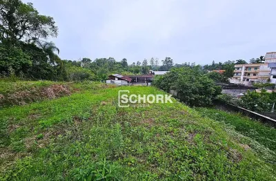 Terreno à venda, 5655 m² por r$ 1.460.000,00 - rio morto - indaial/sc