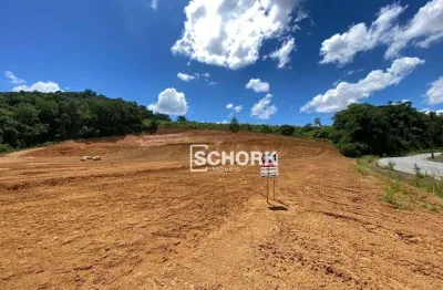 Terreno à venda, 2132 m² por r$ 773.726,42 - estradinha - indaial/sc