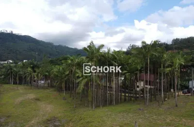 Terreno à venda, 14730 m² por r$ 1.890.000,00 - centro - benedito novo/sc