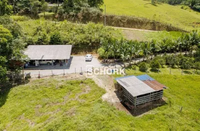 Sítio com 3 dormitórios à venda, 20000 m² por r$ 650.000,00 - dona clara - timbó/sc