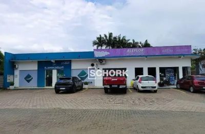 Prédio à venda, 176 m² por r$ 2.100.000,00 - itoupava central - blumenau/sc