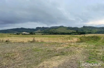 Terreno à venda, 115.237 m² por R$ 1.380.000 - Centro - Rio do Campo/SC