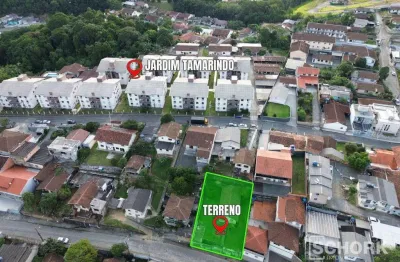 Terreno à venda, 499 m² por r$ 320.000,00 - itoupava norte - blumenau/sc