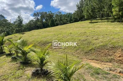 Terreno à venda, 4590 m² por r$ 730.000,00 - tiroleses - timbó/sc