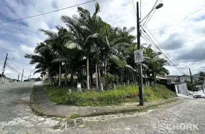 Terreno à venda, 300 m² por R$ 430.000,00 - Fortaleza - Blumenau/SC